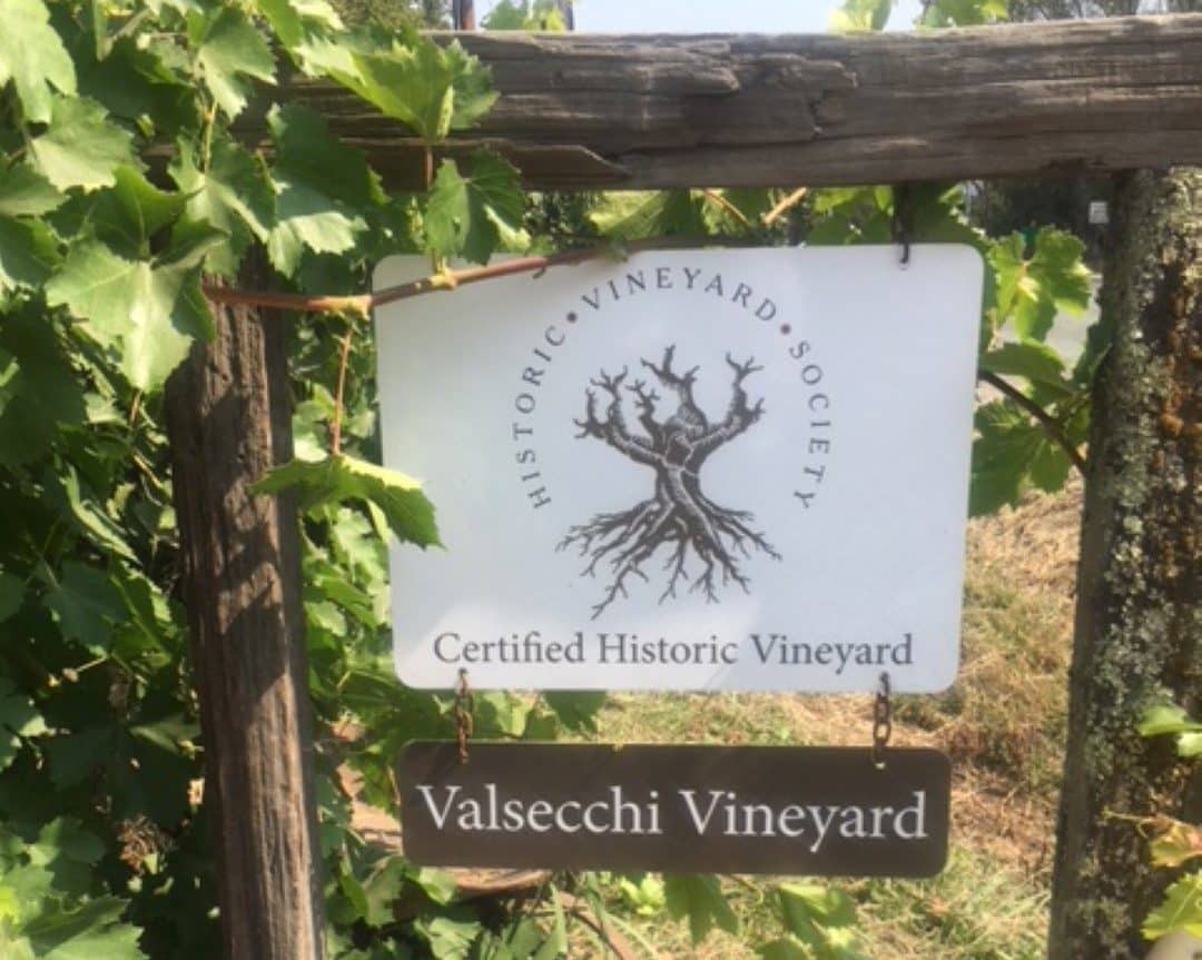 Valsecchi Vineyard Robert Biale Vineyards