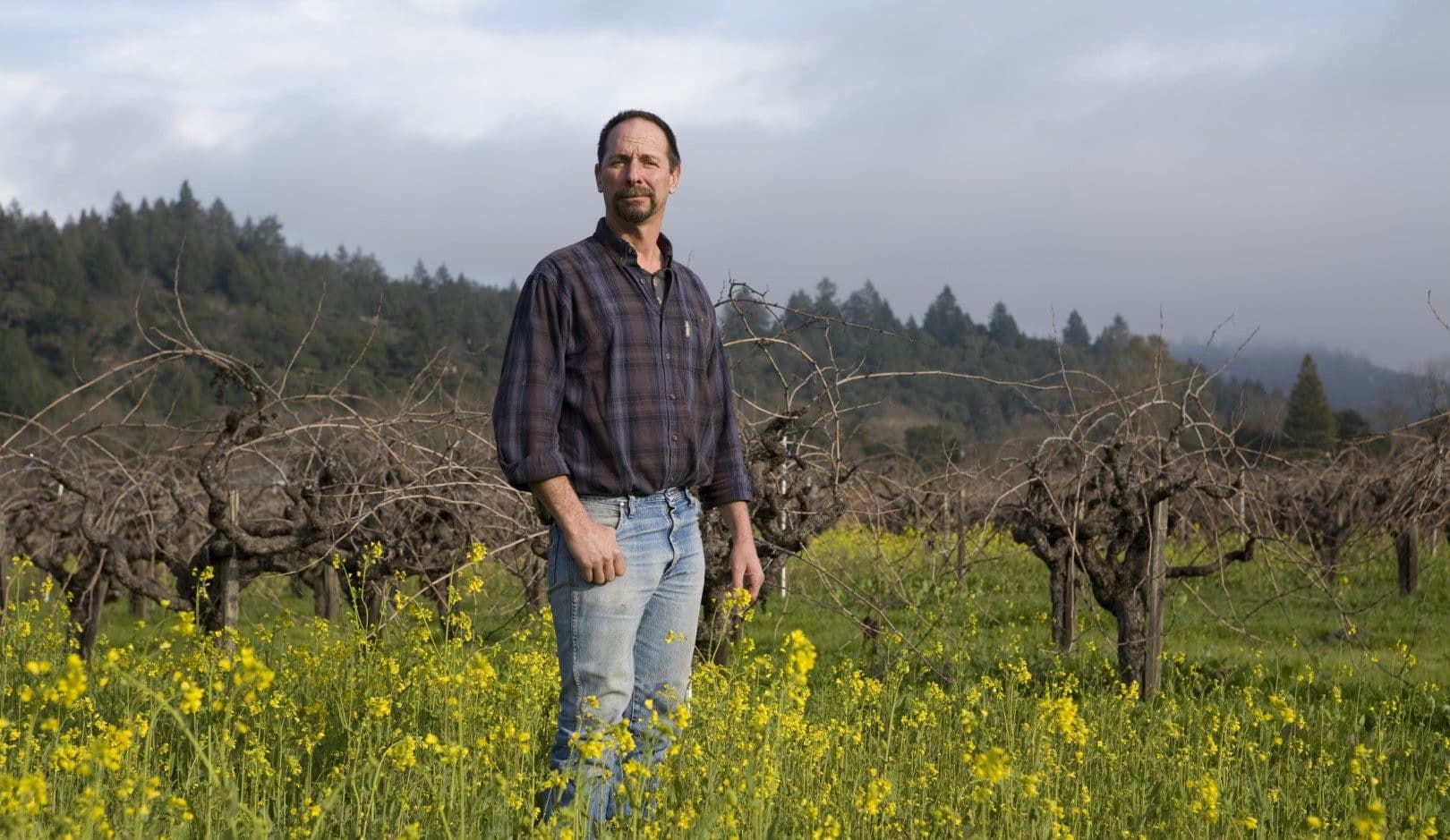 Man standing in Varozza Vineyard.