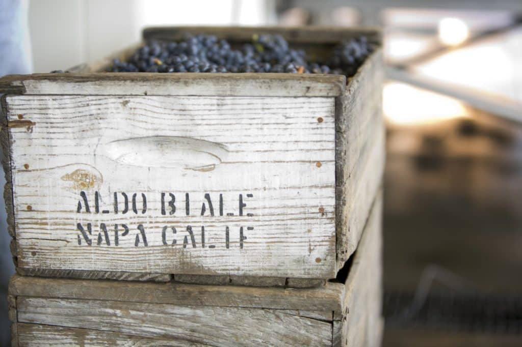 Wooden bin filled with grapes, Aldo Biale printed on bin