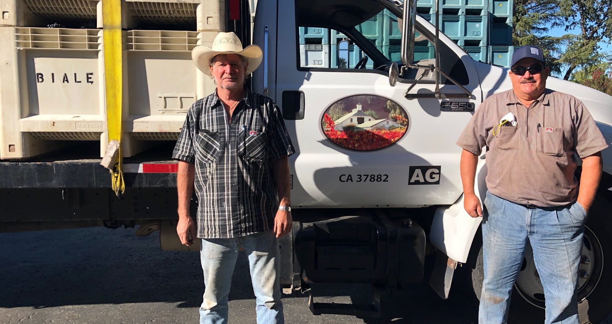Two men standing next to truck with bins of grapes on truck at Robert Biale Pagani Ranch property.
