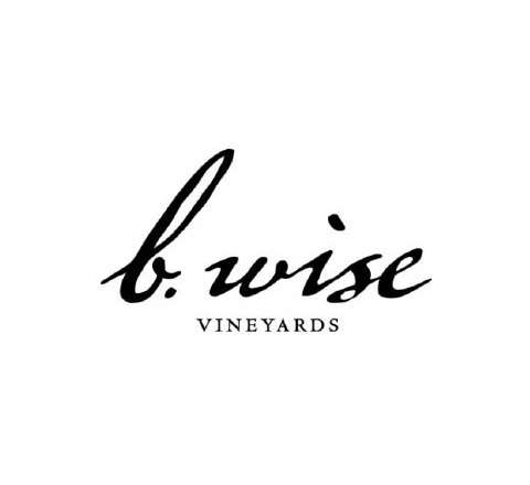 b. wise logo