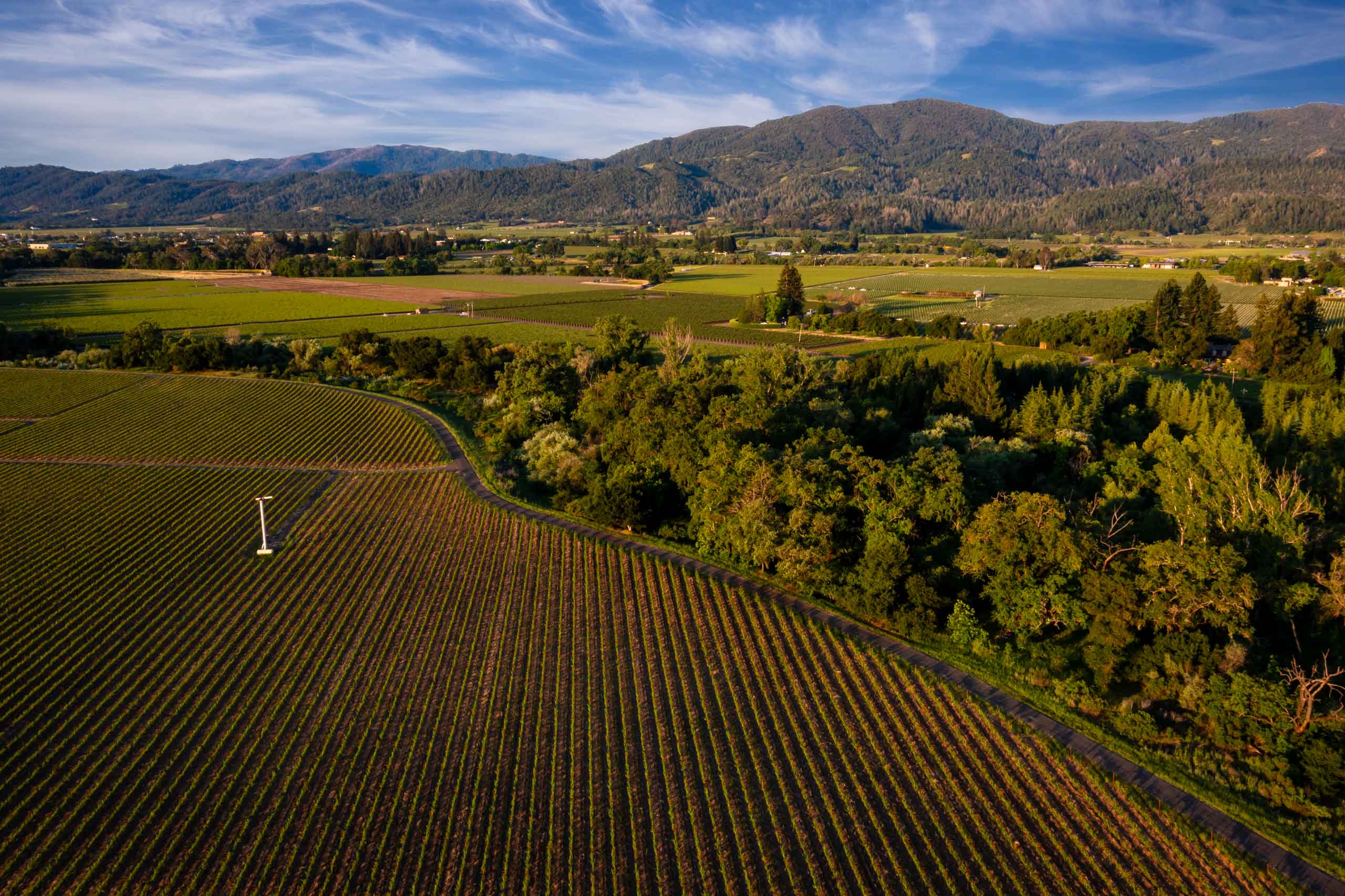 sweeping aeriel view of Carpy Connolly Ranch, used to produce Biale Vineyards Royal Punishers Petite Sirah