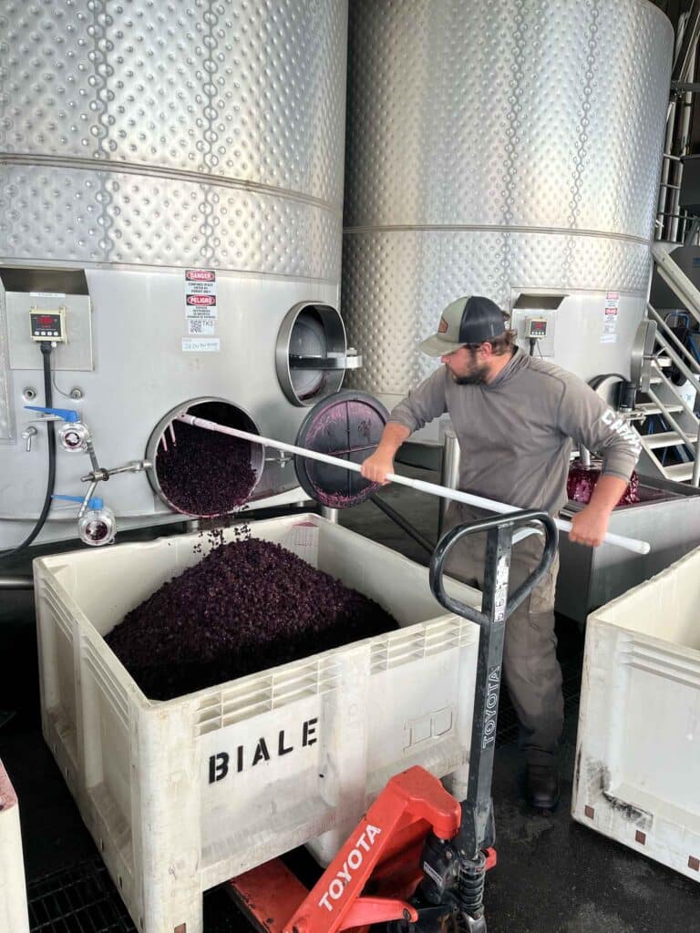 Robert Biale Vineyards harvest intern Sean cleans the grape skins out of a tank