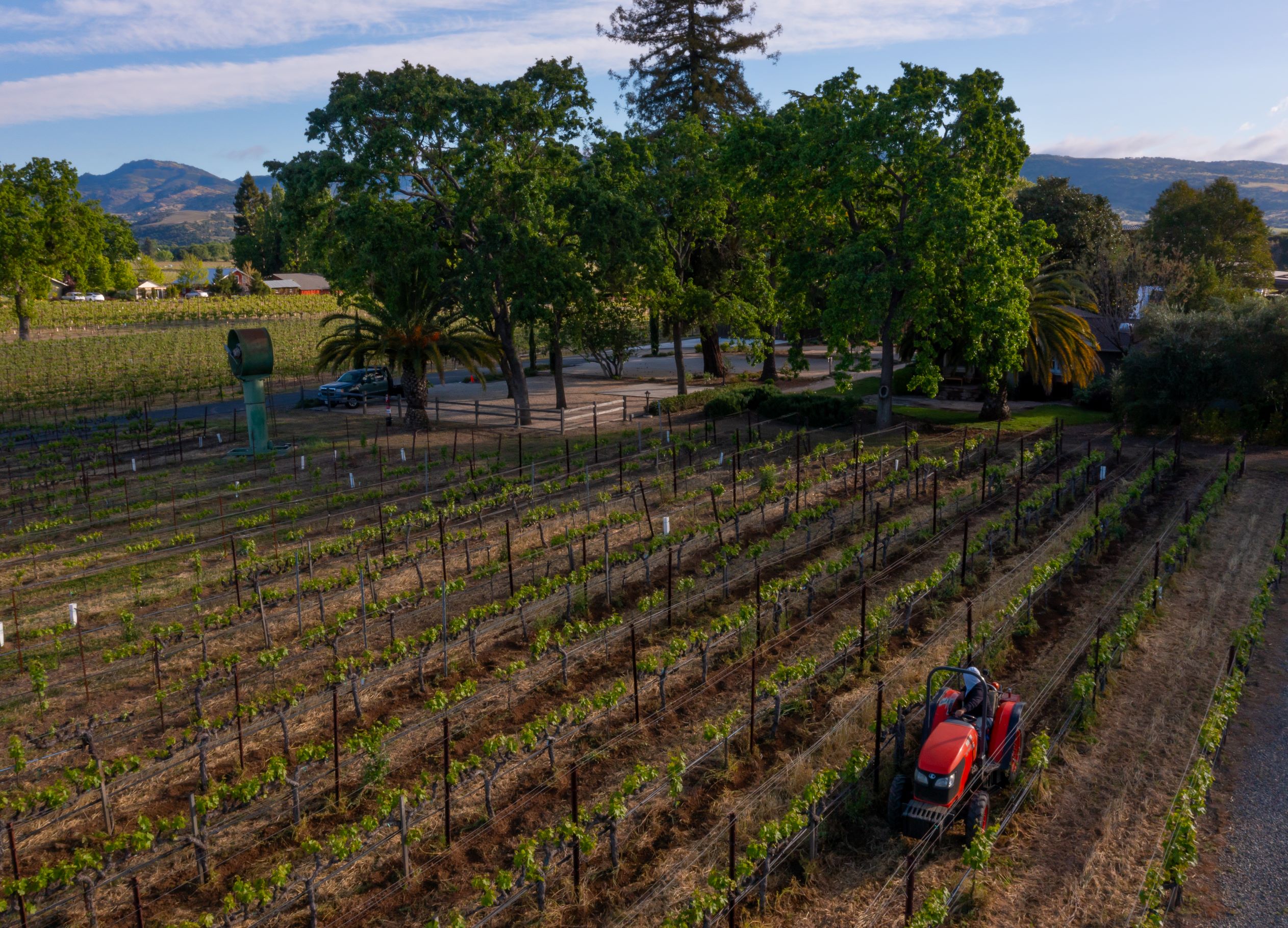 Tractor in Robert Biale Vineyards