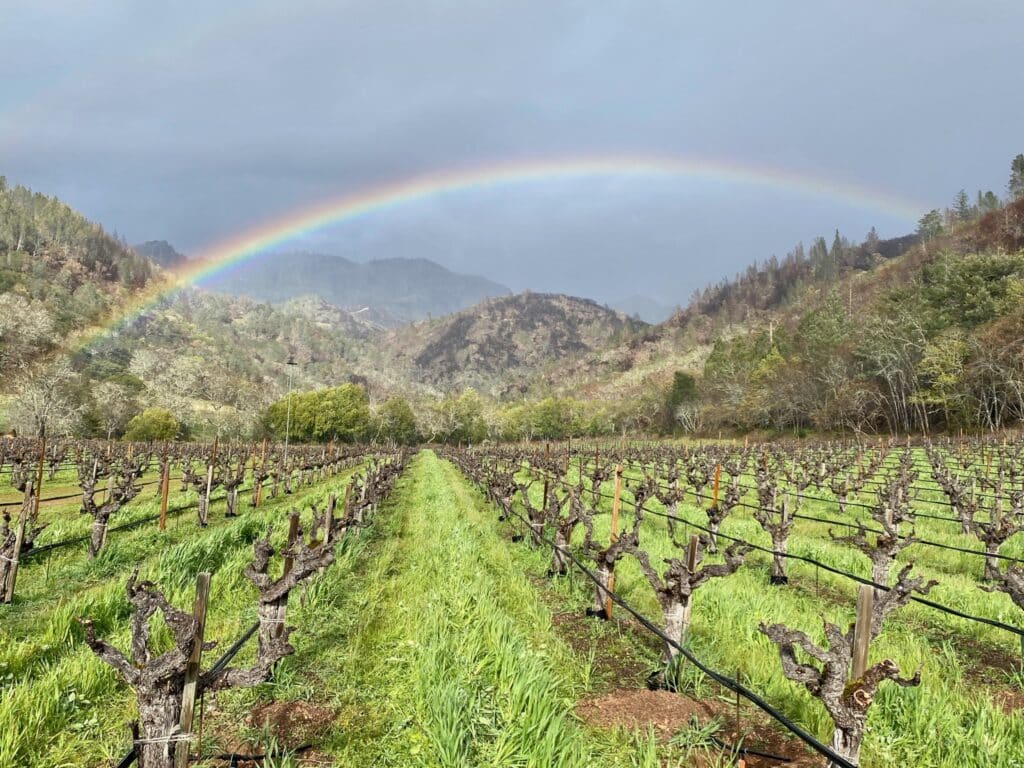 a rainbow over the hilltops at Palisades Vineyard